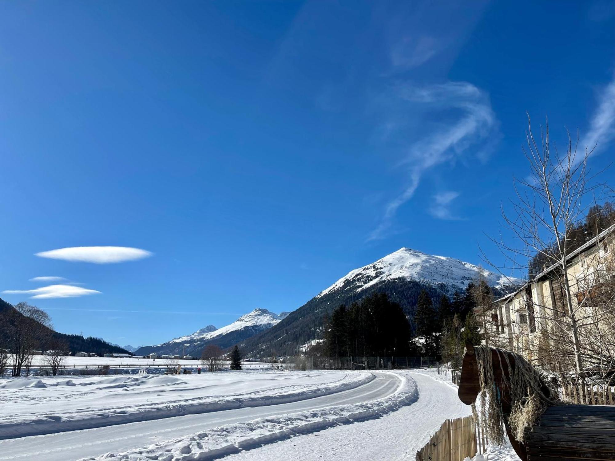 Chalet St Moritz Madulain Dış mekan fotoğraf